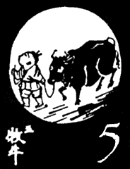 5. Taming the Bull (牧牛)