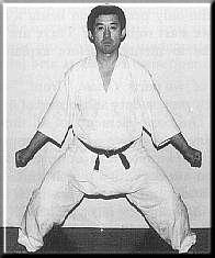 Kiba Dachi frontal view