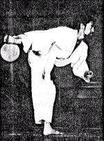 Mawashi Geri extension phase
