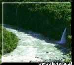 Shotokai Historical Photo