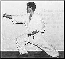 Zenkutsu Dachi forward view