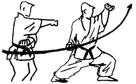Gedan Barai motion animation