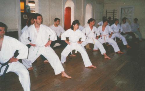 Kokutsu dachi — Back Stance Practice