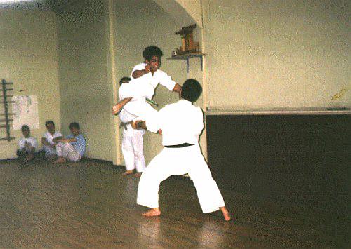 Mawashi Tobigeri — Flying Roundhouse Kick