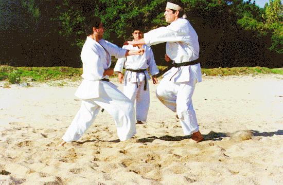 Jiyu Kumite Free Sparring