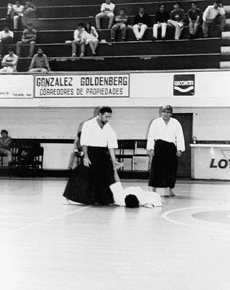 Aikibudo Demonstration