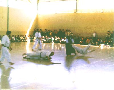 Public Budo Exhibition 1990